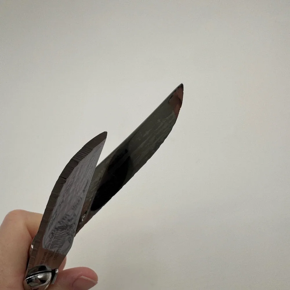 Sabatier Laguiole The Bee Steak Knives Set of 2 Stainless Steel 4.5in France